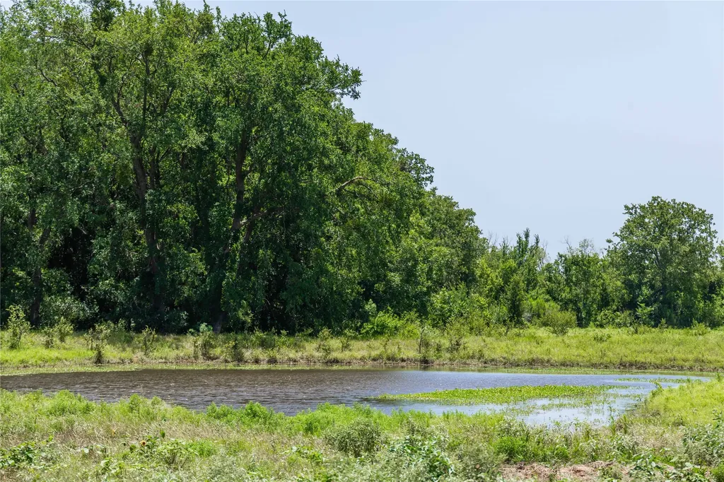 84.16 Acres Tbd Fm 587 De Leon TX 76444