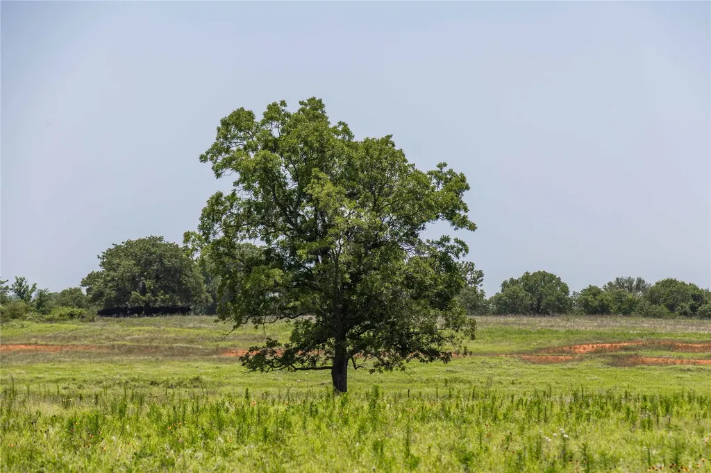 84.16 Acres Tbd Fm 587 De Leon TX 76444