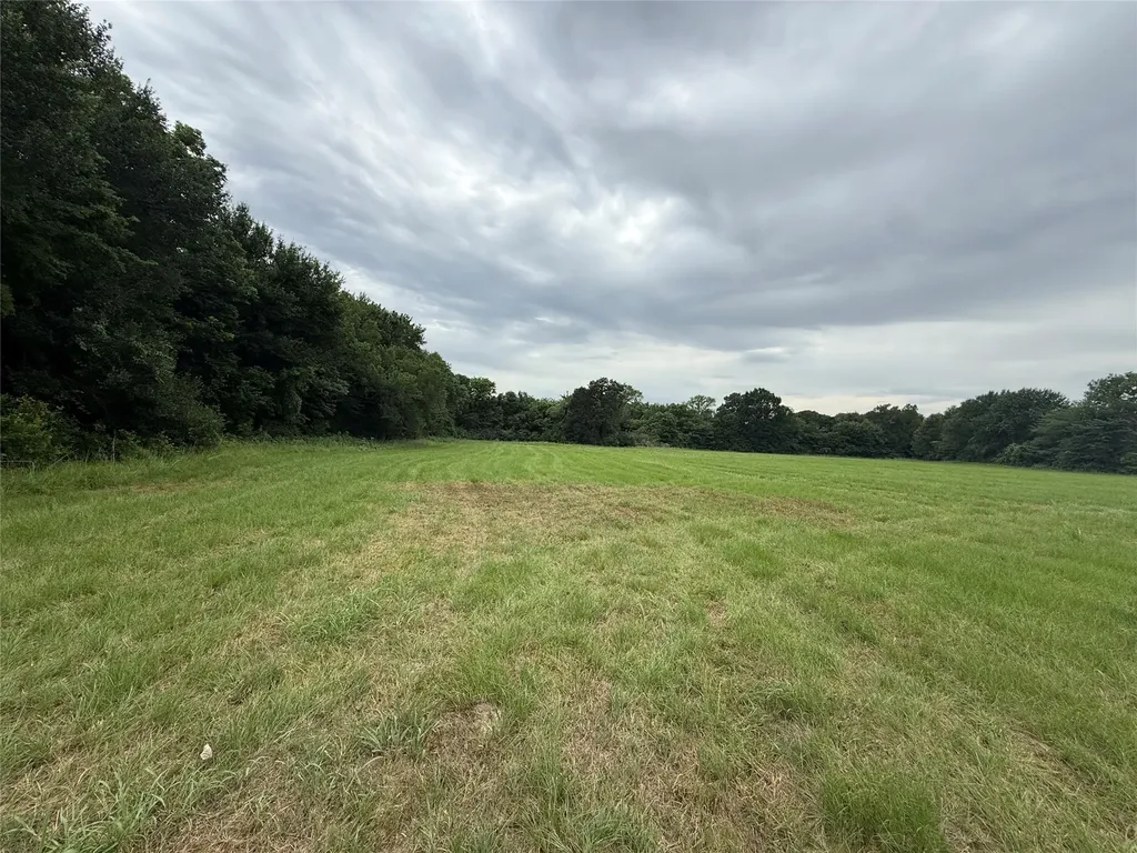 000 County Road 313 Co Road 313 Terrell TX 75161