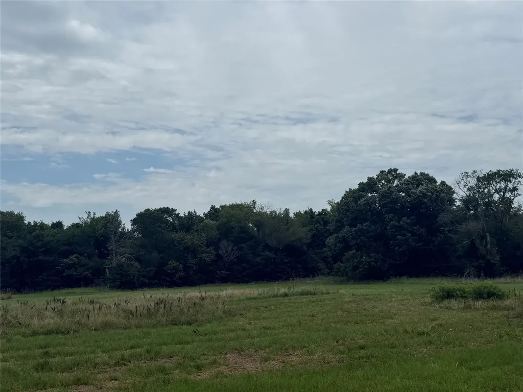000 County Road 313 Co Road 313 Terrell TX 75161