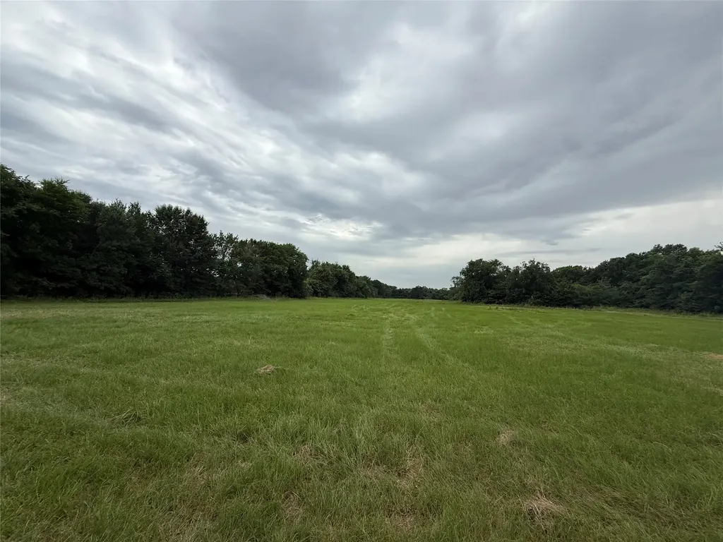 000 County Road 313 Co Road 313 Terrell TX 75161