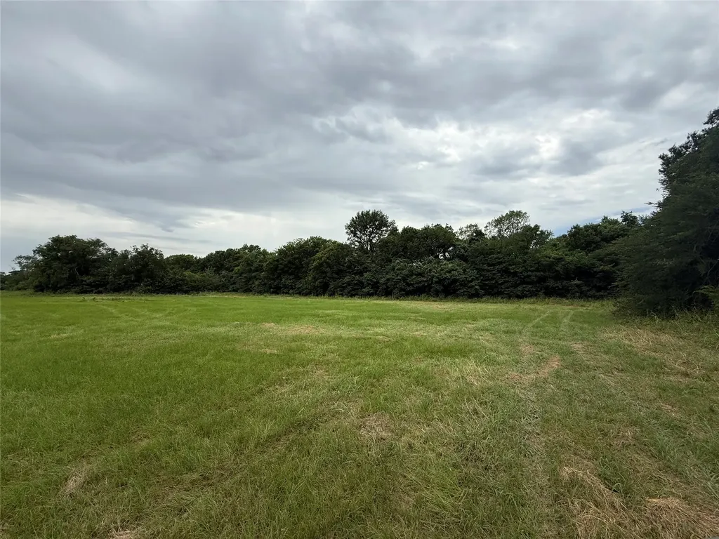 000 County Road 313 Co Road 313 Terrell TX 75161