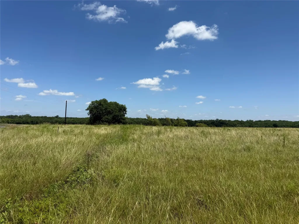 01 Cr 3550 Honey Grove TX 75446