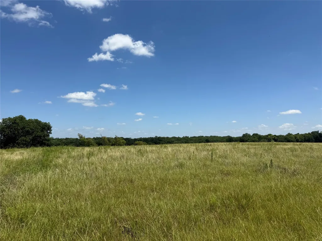 01 Cr 3550 Honey Grove TX 75446