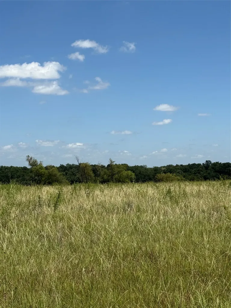 01 Cr 3550 Honey Grove TX 75446