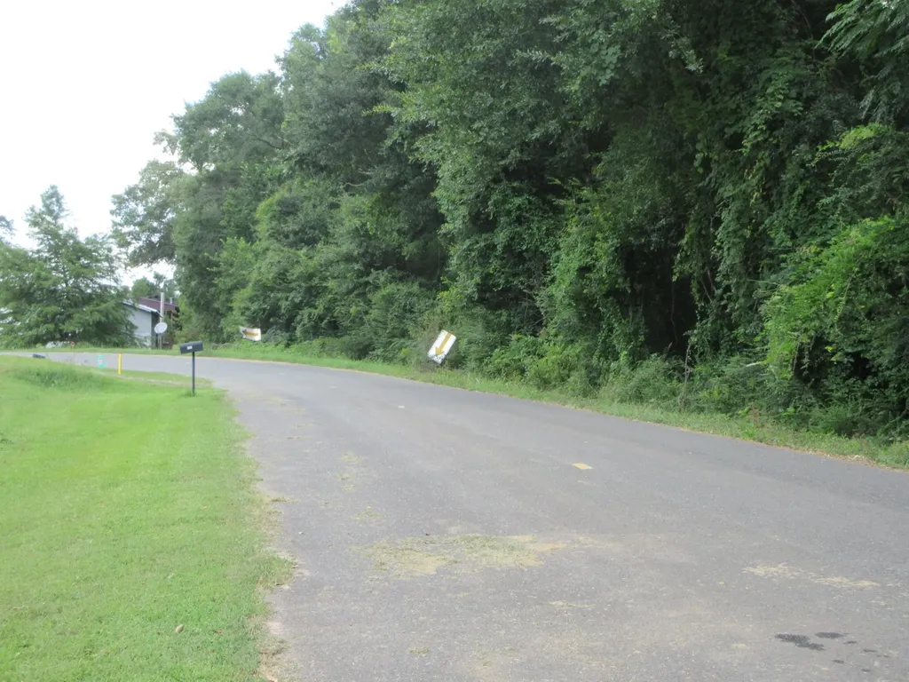 440 N Forrest Road Plain Dealing LA 71064