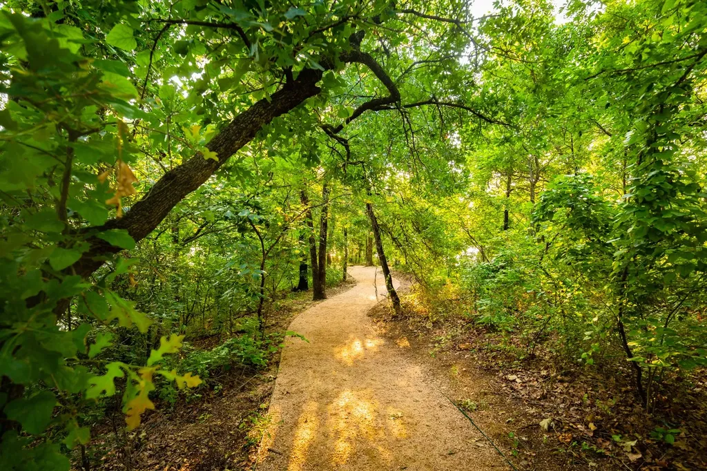 4623 Hawks Trail Oak Point TX 75068