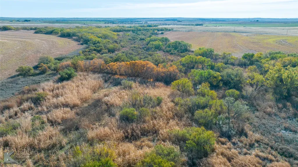 Tbd Fm 57, 160 Acres Roby TX 79543