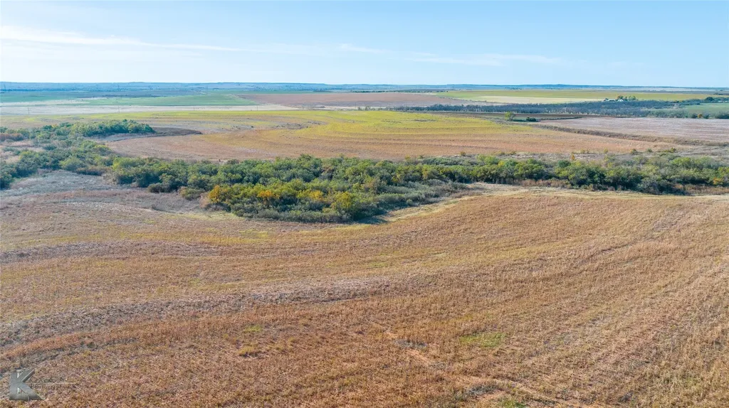 Tbd Fm 57, 160 Acres Roby TX 79543