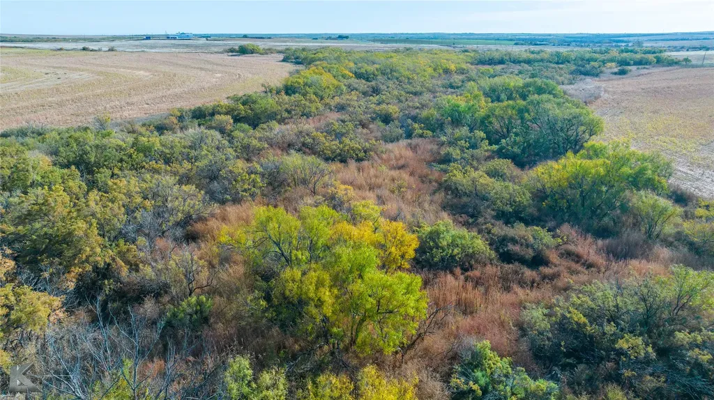 Tbd Fm 57, 160 Acres Roby TX 79543
