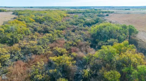 Tbd Fm 57, 160 Acres Roby TX 79543