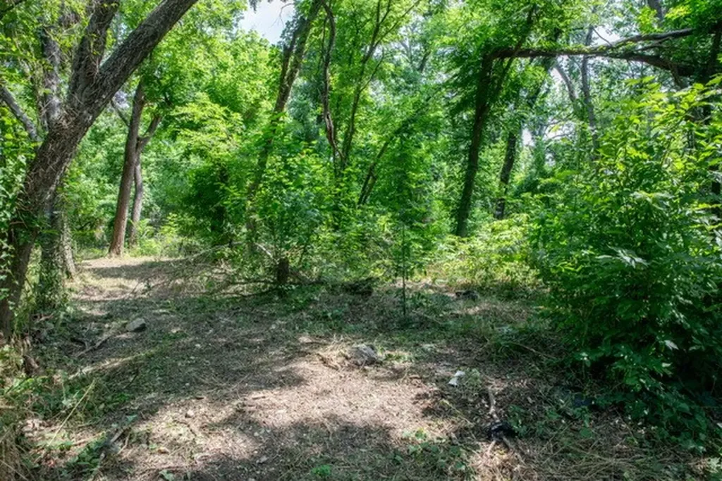 702 Fenet Street Mckinney TX 75069