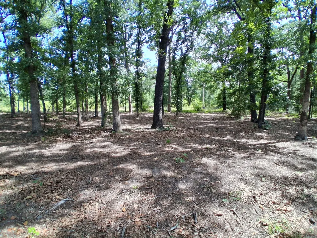 1325 Private Road 7905 Hawkins TX 75765