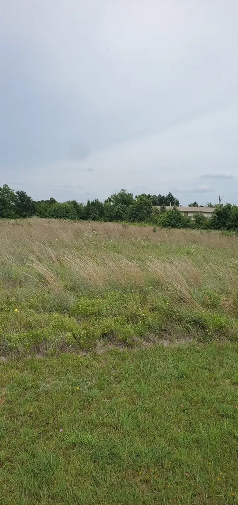 Tbd Shelley Lane Clyde TX 79510