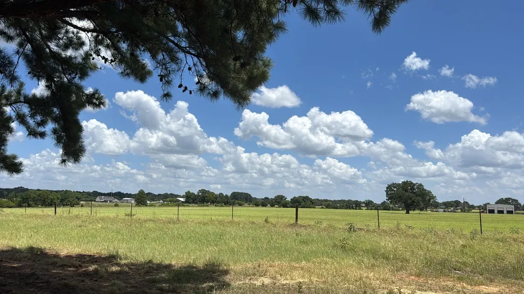 5337 Dusty Road Athens TX 75752
