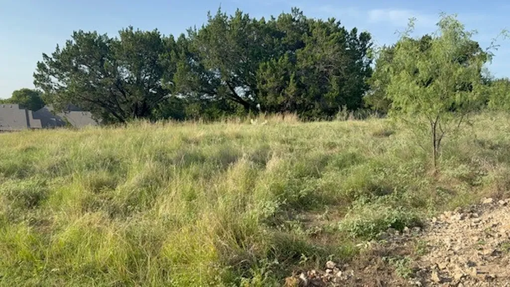42178 Crooked Stick Drive Whitney TX 76692