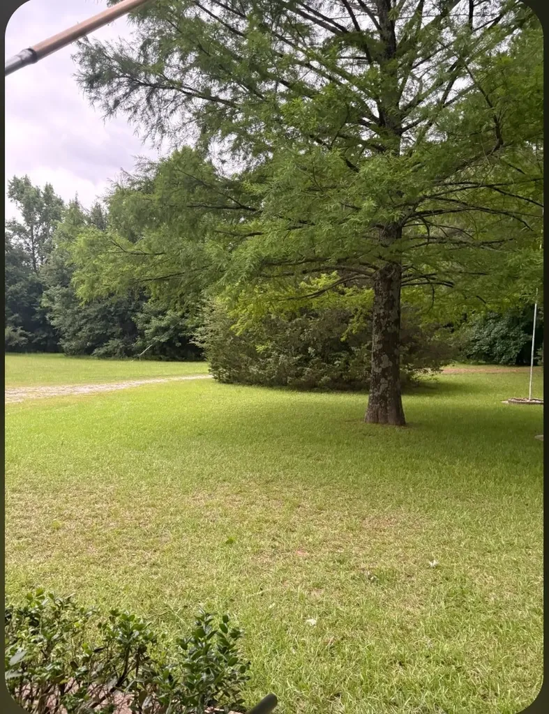 741 Vz County Road 4134 Canton TX 75103