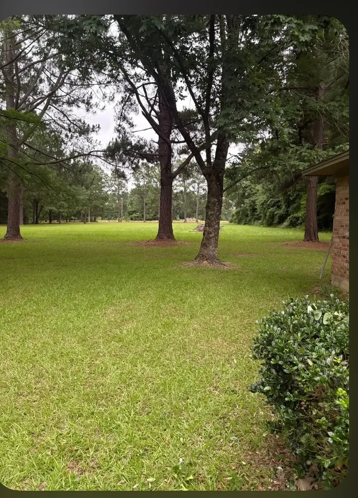 741 Vz County Road 4134 Canton TX 75103