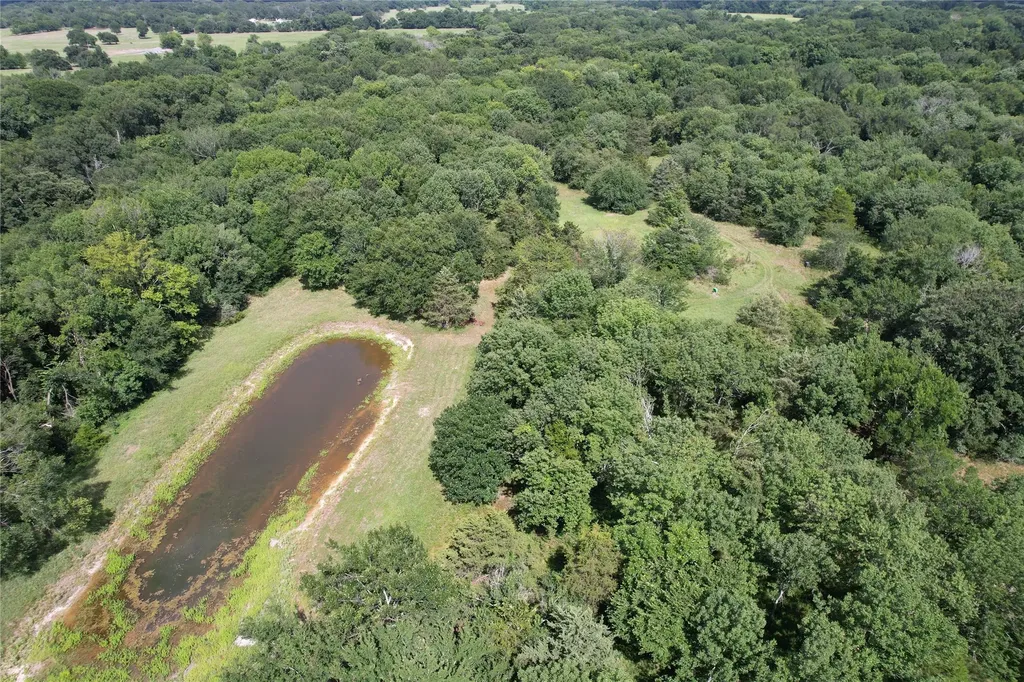 Tbd County Road 4719 Cumby TX 75433