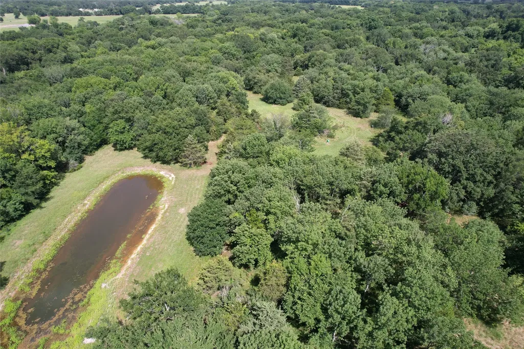 Tbd County Road 4719 Cumby TX 75433