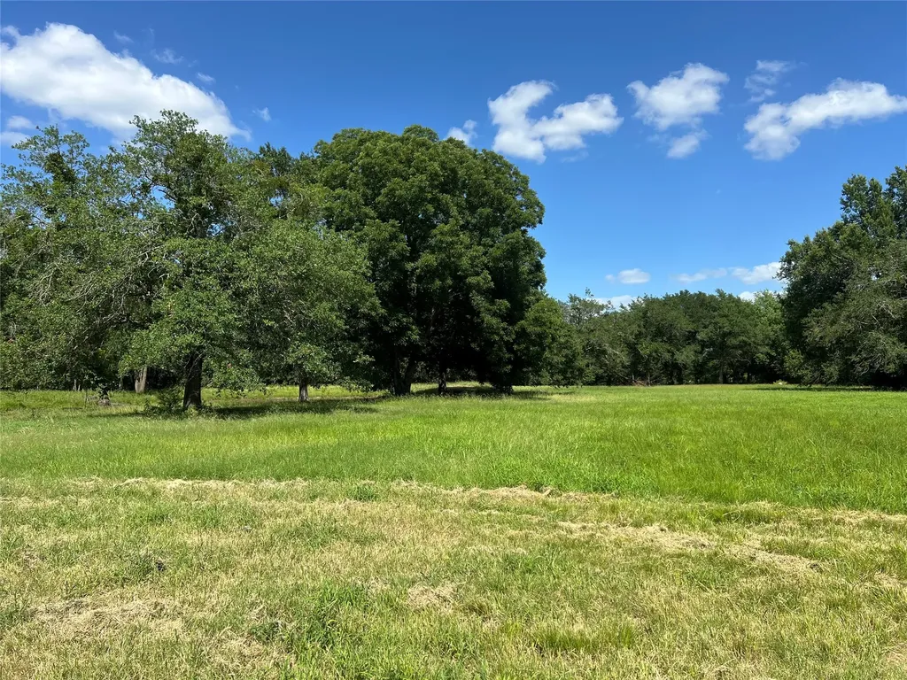 Tbd County Road 4719 Cumby TX 75433