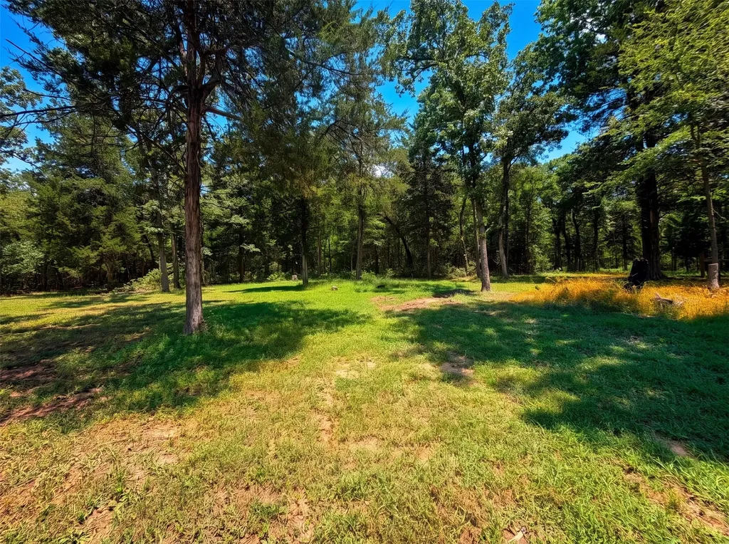 180 An County Road 4251 Palestine TX 75803