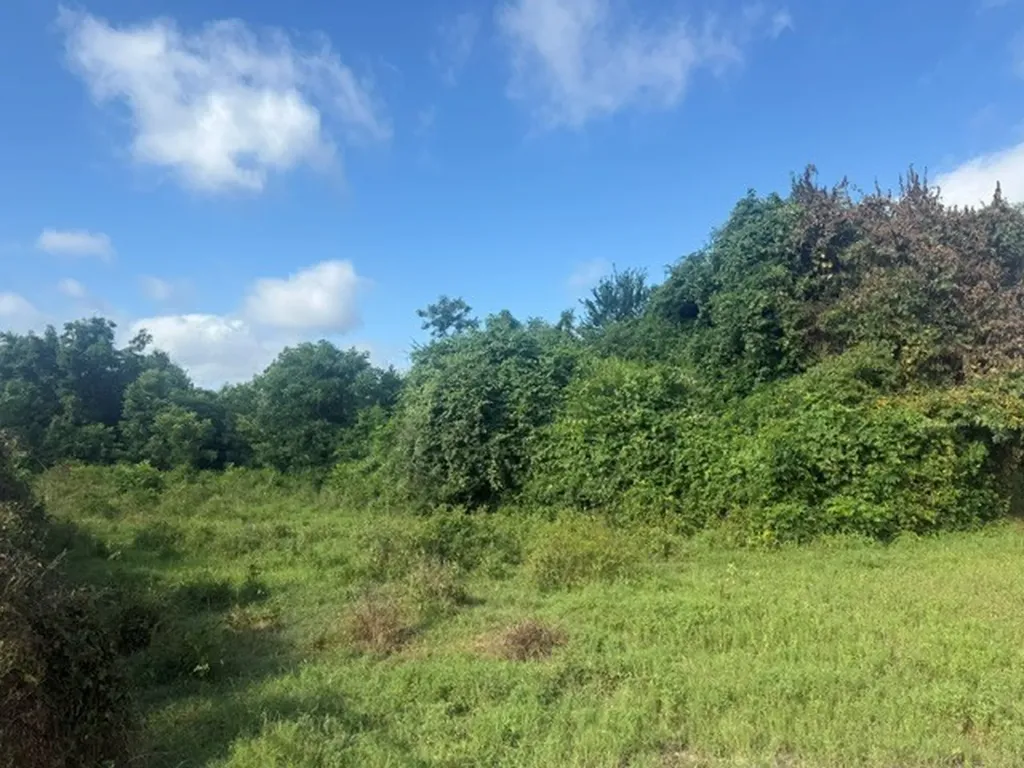 Tbd N 4230 Road Hugo OK 74743