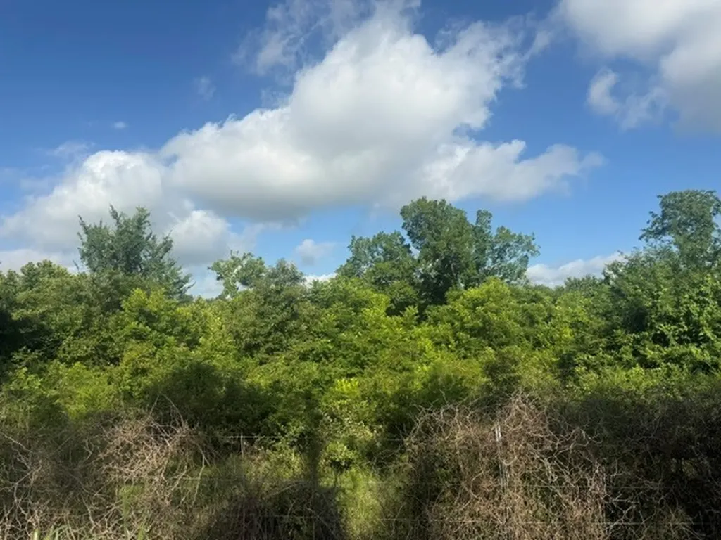 Tbd N 4230 Road Hugo OK 74743