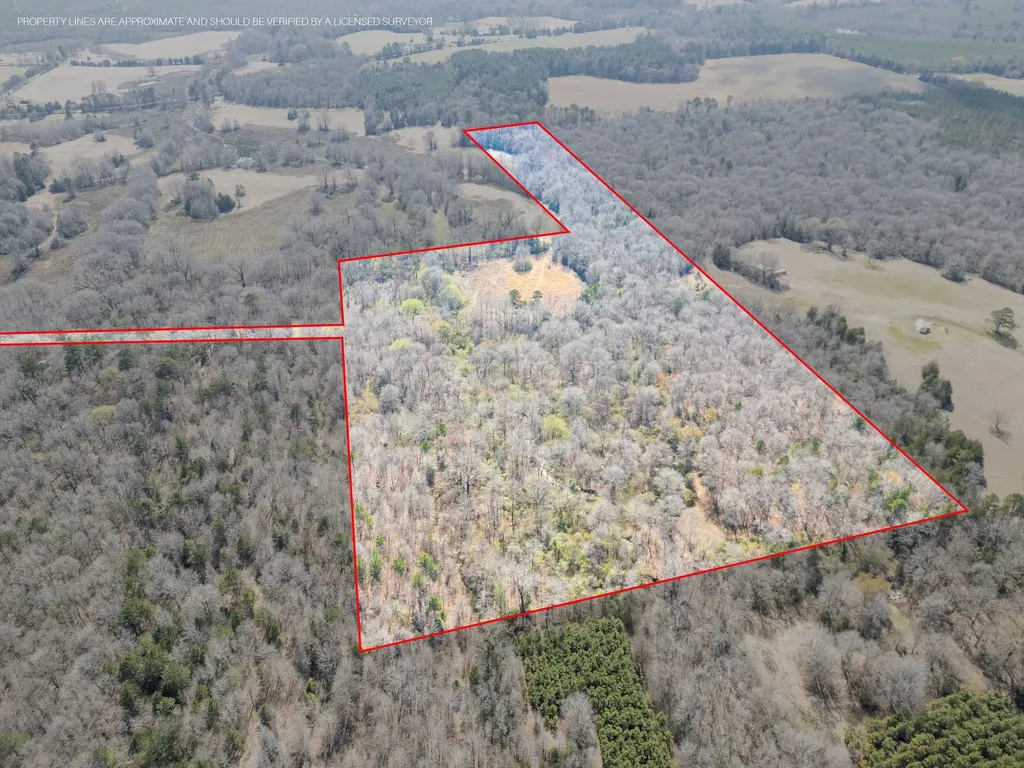 Tbd Stevens Road Marietta TX 75566