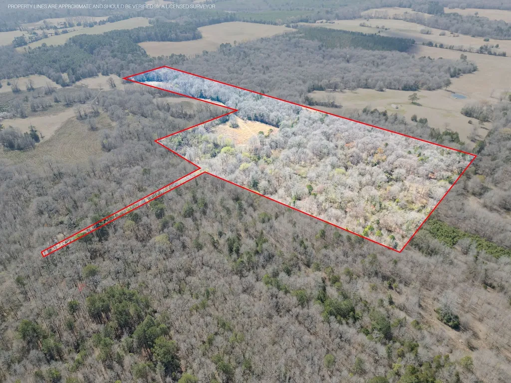 Tbd Stevens Road Marietta TX 75566