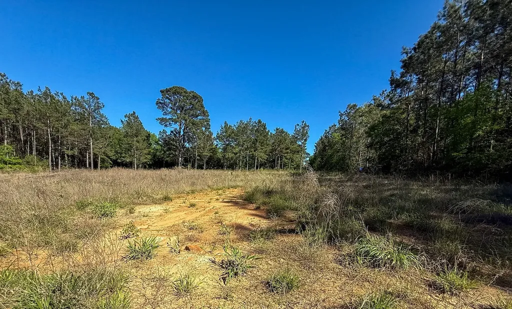494 Cr 4303 Jacksonville TX 75766