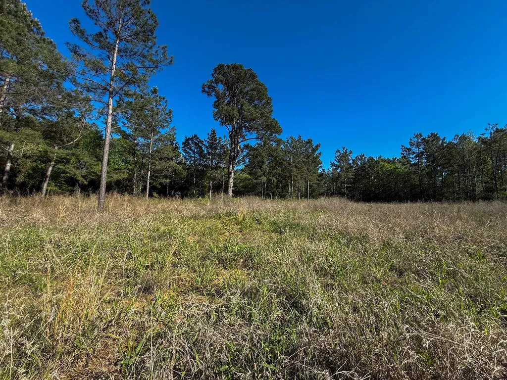 494 Cr 4303 Jacksonville TX 75766