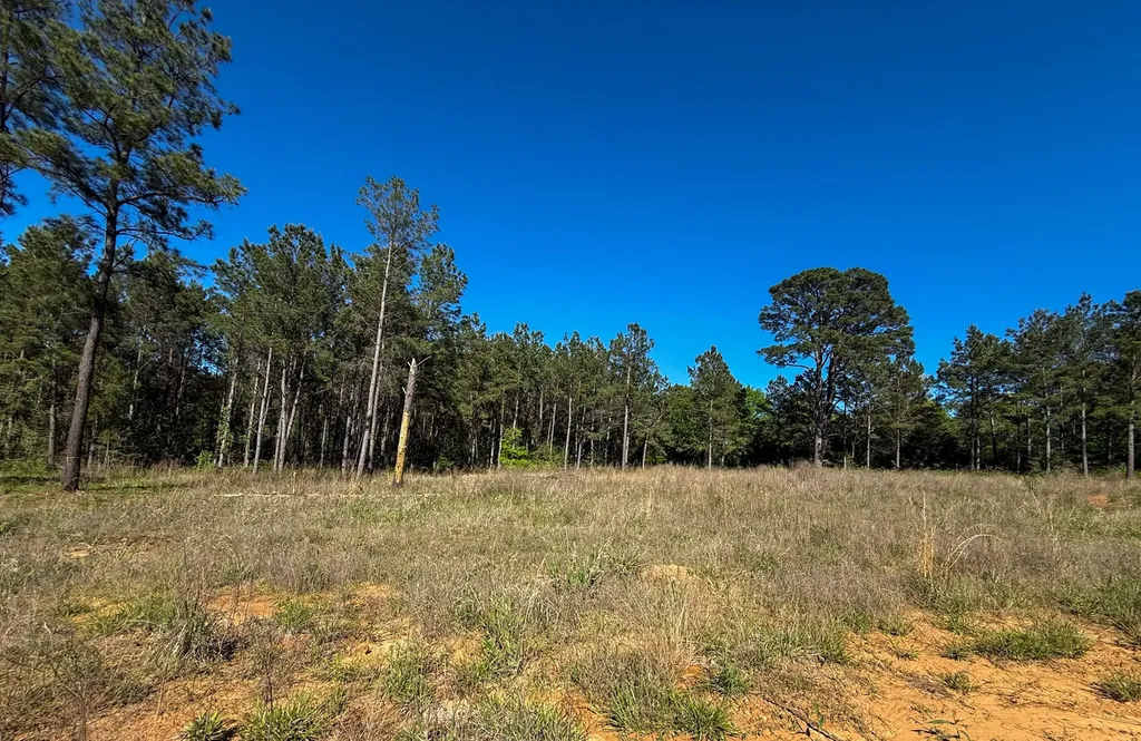 494 Cr 4303 Jacksonville TX 75766