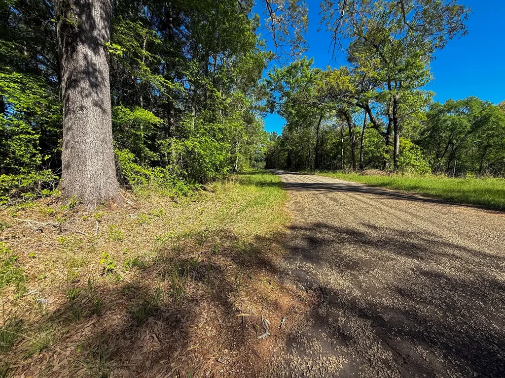 494 Cr 4303 Jacksonville TX 75766