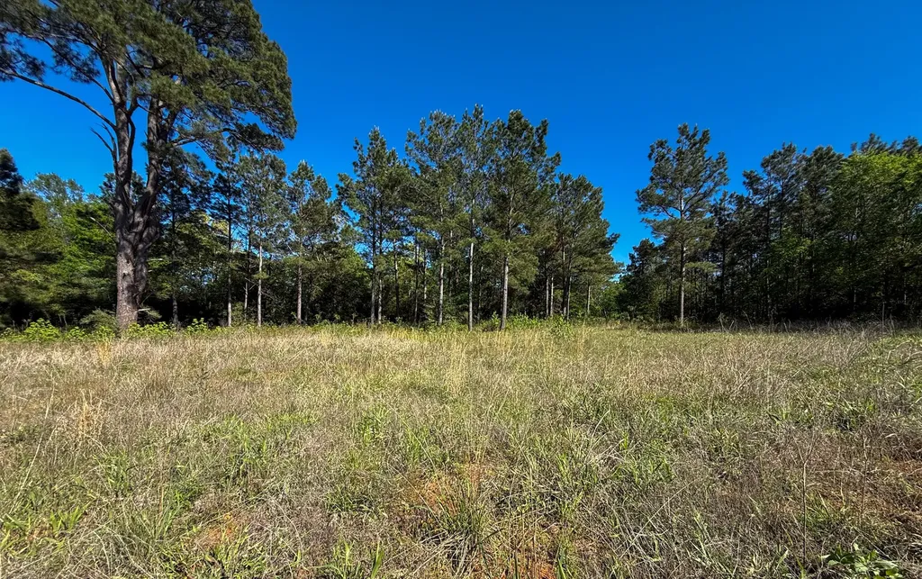 494 Cr 4303 Jacksonville TX 75766