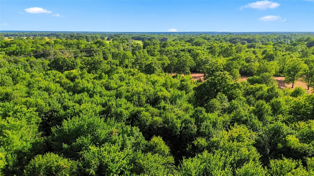610 County Road 2040 Klondike TX 75448