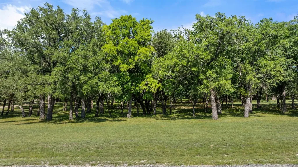 15403 Mule Branch Court Lipan TX 76462