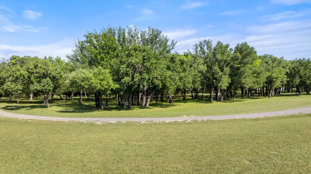 15403 Mule Branch Court Lipan TX 76462