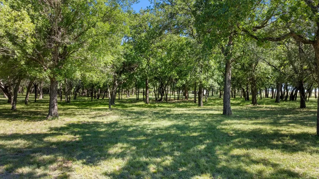 15403 Mule Branch Court Lipan TX 76462