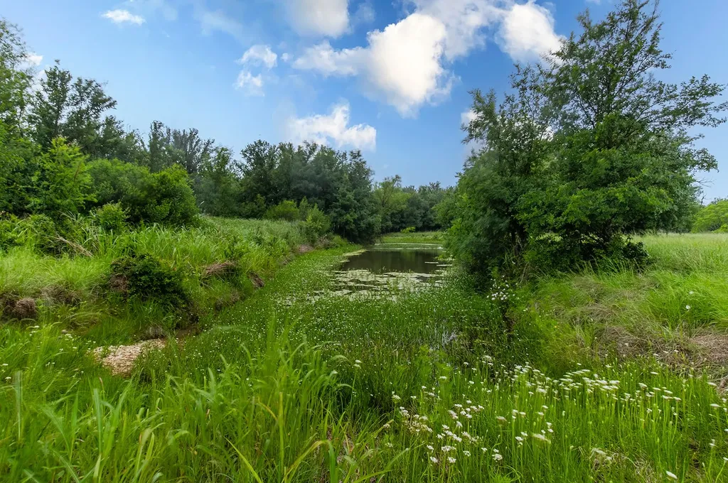 9701 County Road 210 Brownwood TX 76801