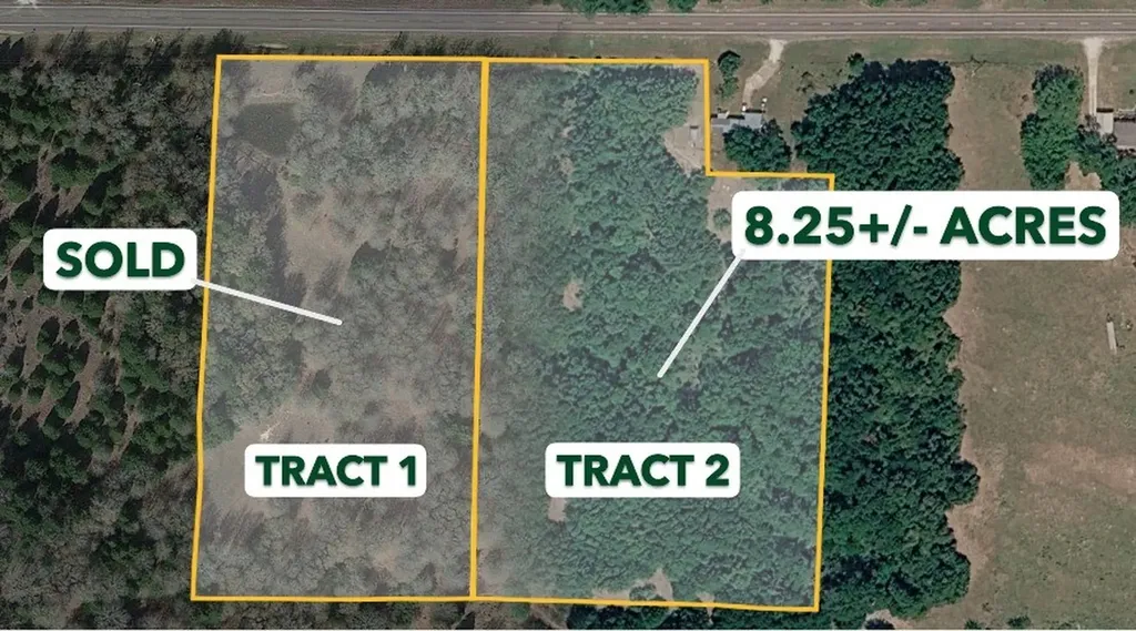 Tract 2 Tbd Fm 1365 Teague TX 76667