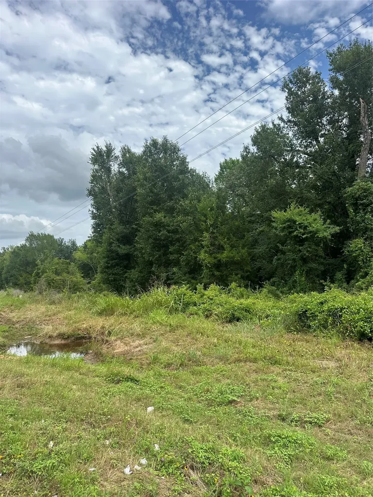Tract 2 Tbd Fm 1365 Teague TX 76667
