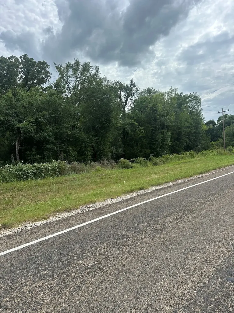 Tract 2 Tbd Fm 1365 Teague TX 76667