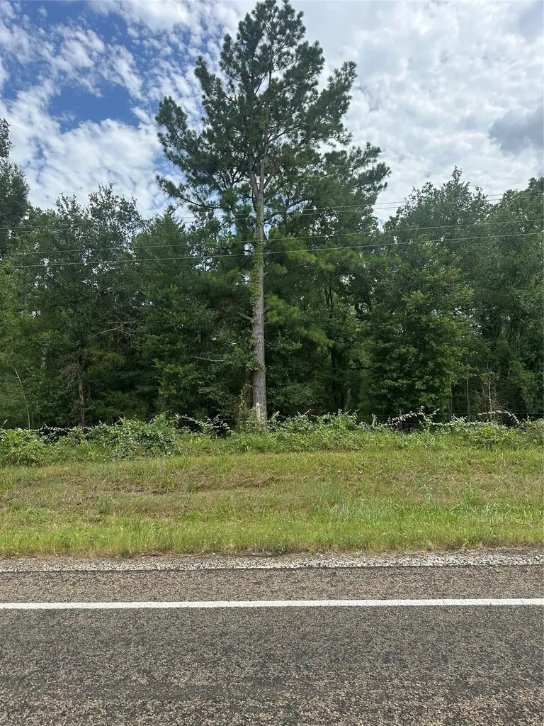 Tract 2 Tbd Fm 1365 Teague TX 76667