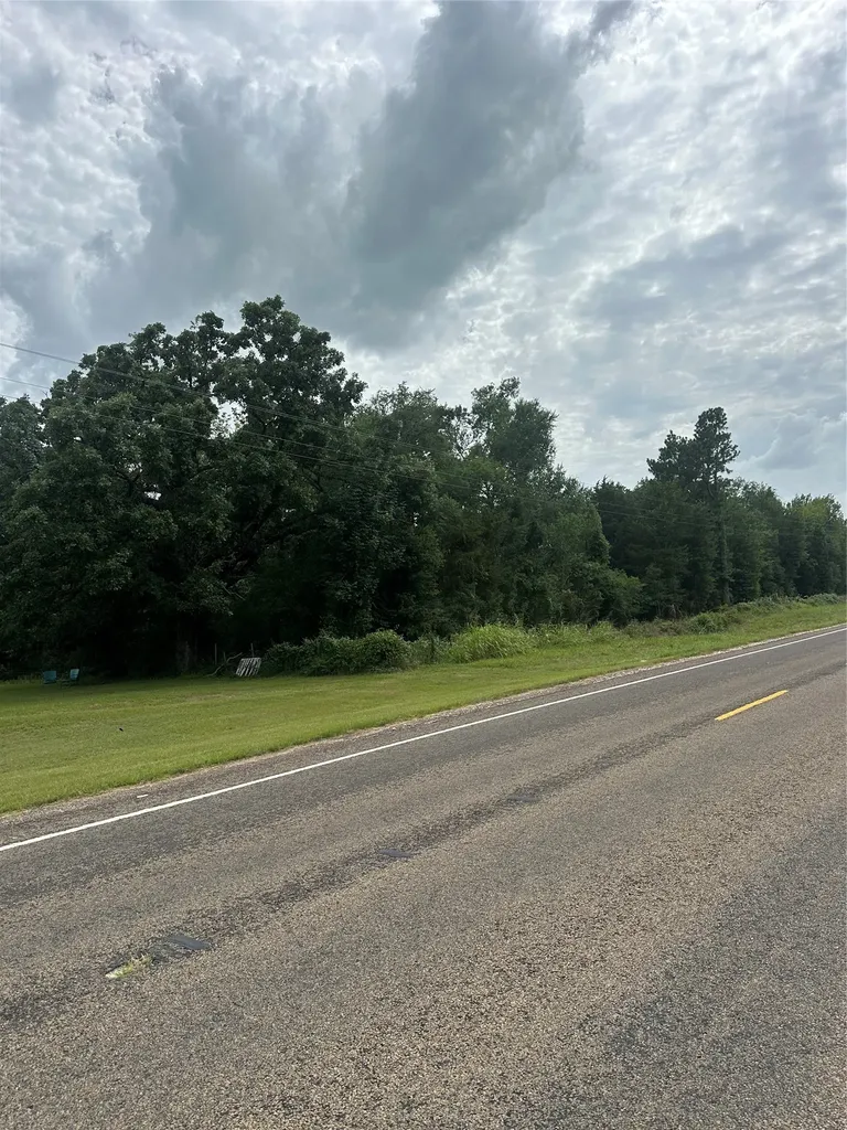 Tract 2 Tbd Fm 1365 Teague TX 76667