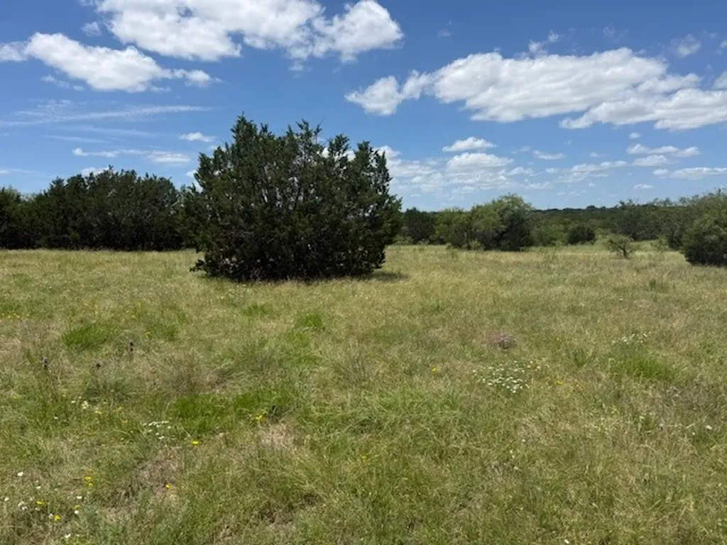 1320 Private Road 16021 Jonesboro TX 76538