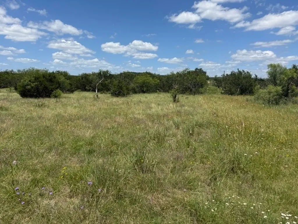 1320 Private Road 16021 Jonesboro TX 76538