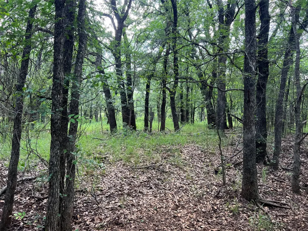 Tbd County Road 137 Road Cisco TX 76437