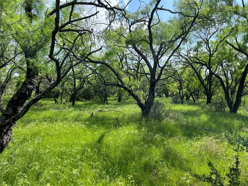 Tbd County Road 137 Road Cisco TX 76437