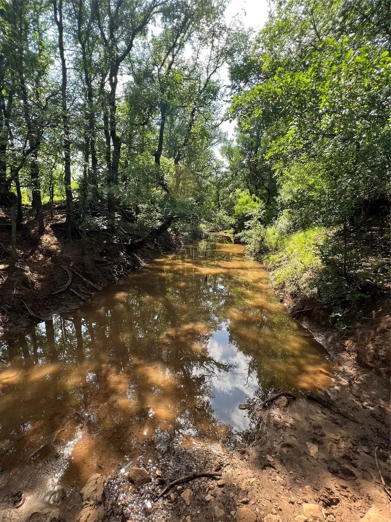 Tbd County Road 137 Road Cisco TX 76437